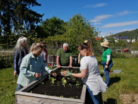 Bepflanzung des Hochbeet